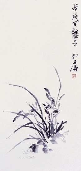 藏品:蘭花的(1)張圖片