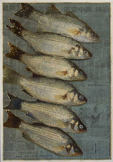 魚和報紙的焦點圖