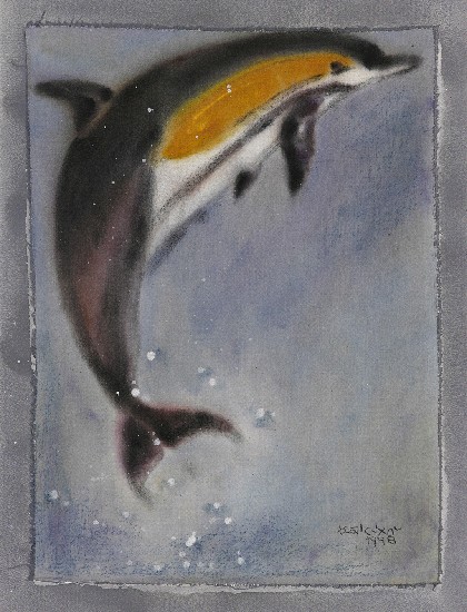 海王子-海豚的焦點圖