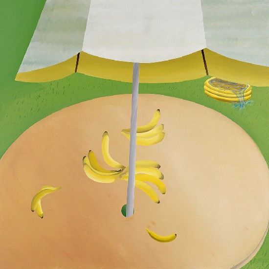 藏品:充氣泳池系列-1.塑膠躺椅2.台灣好吃香蕉!3.有鐵網的風景的(2)張圖片