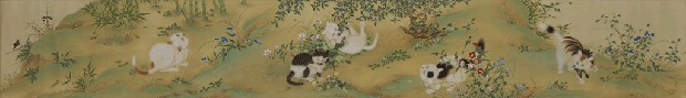 四季花草與貓兒的焦點圖