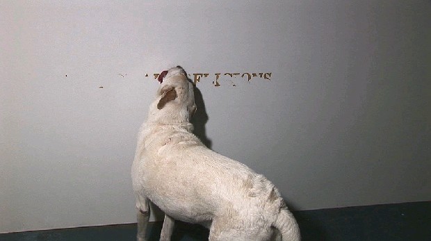 藏品:犬僧系列 – 世界宗教大聯合  的(1)張圖片