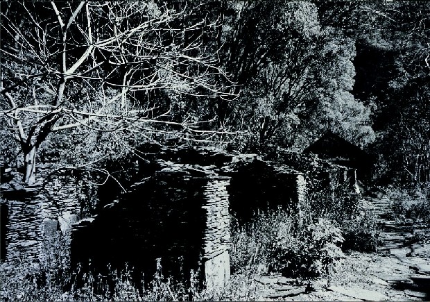 藏品:廢墟迷走II:遠離家園的(13)張圖片