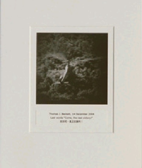 藏品:目費仁波切靈視攝影-最後風景系列的(39)張圖片