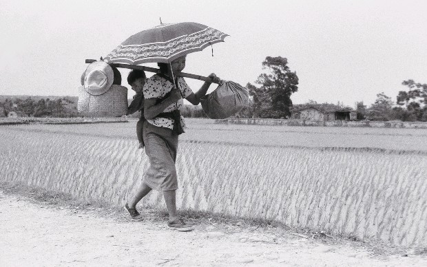 戰前戰後系列-回娘家(新竹鄉下)的焦點圖