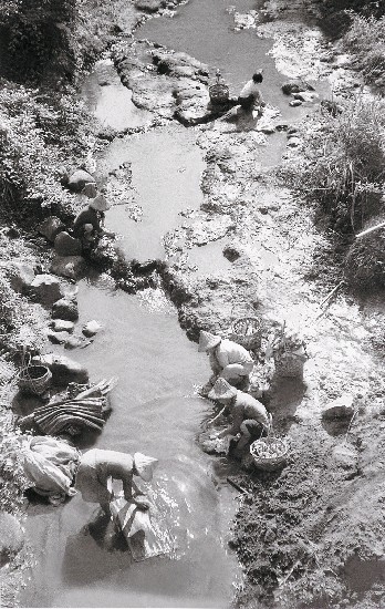 戰前戰後系列-溪邊洗衣(新竹鄉下)的焦點圖