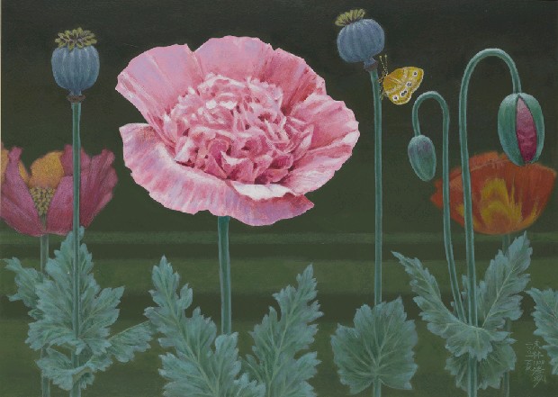廖未林 罌粟花 國美典藏