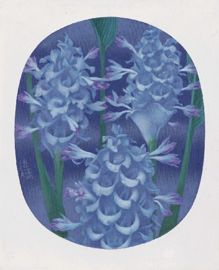 藏品:紫花的(1)張圖片