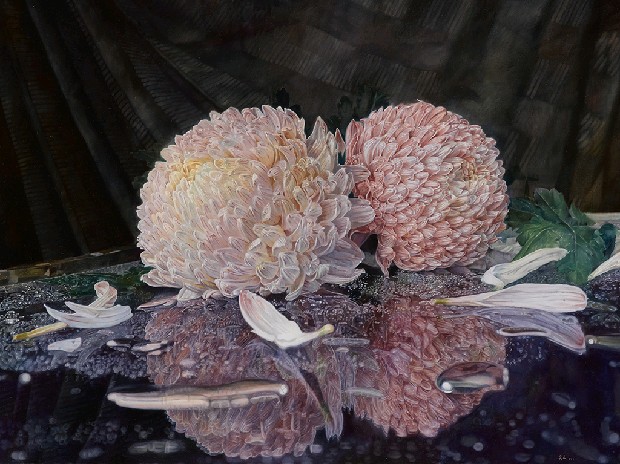 花展容顏-牡丹菊的焦點圖