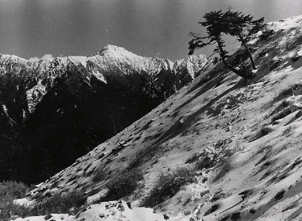 藏品:高山古情-合歡雪坡與奇萊主峰的(1)張圖片