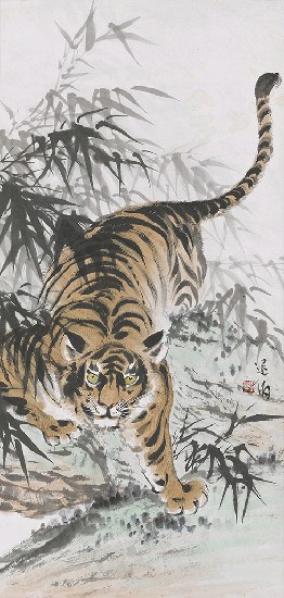 虎的焦點圖