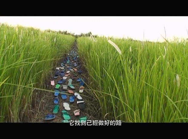 藏品:Fali-yos 颱風計畫－消失後的入侵(錄像)的(2)張圖片