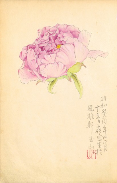 藏品:Flowers and Birds Life Drawing Collection 002的(19)張圖片