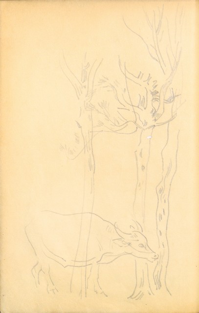 藏品:Flowers and Birds Life Drawing Collection 002的(58)張圖片