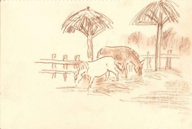 藏品:峨嵋金頂、風景、花、鹿、駱駝等寫生集006A的(10)張圖片