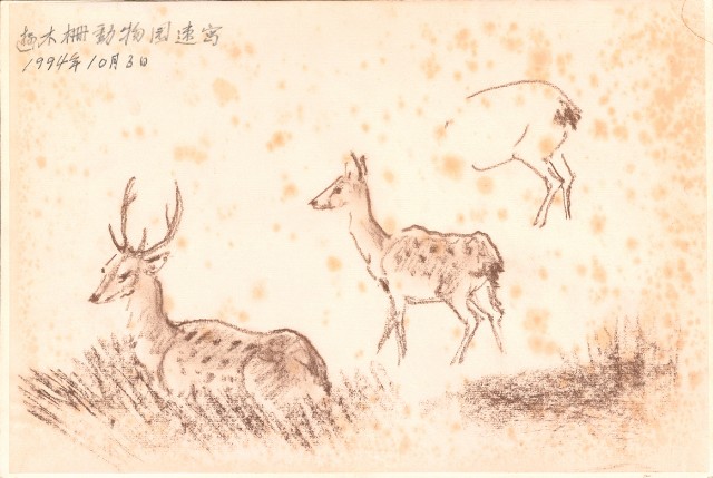 藏品:峨嵋金頂、風景、花、鹿、駱駝等寫生集006A的(18)張圖片