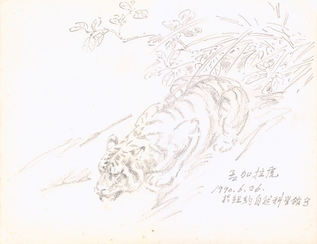 藏品:獅、虎、魚等寫生集006B的(3)張圖片