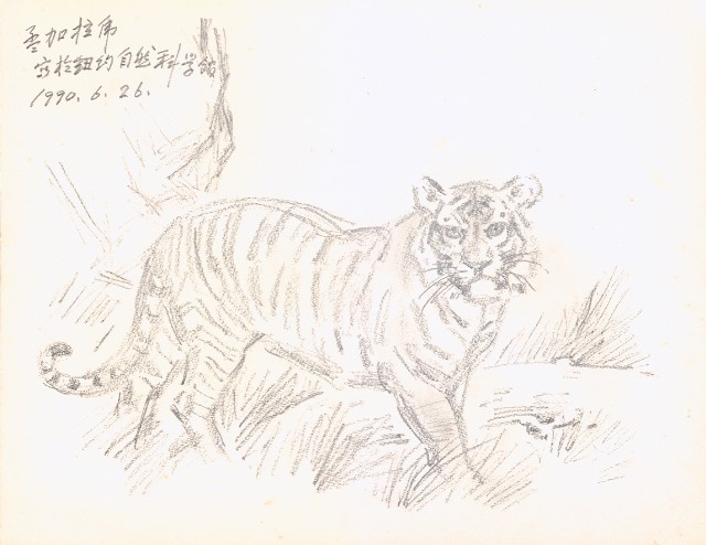 藏品:獅、虎、魚等寫生集006B的(4)張圖片