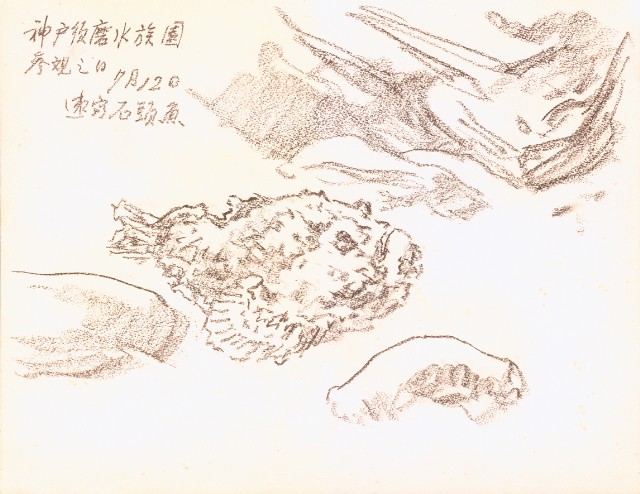 藏品:Lions, Fish, etc. Life Drawing Collection 006B的(7)張圖片