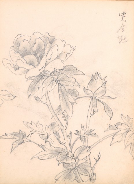 藏品:Flowers, Mandarin Ducks, Tigers, Birds, etc. Life Drawing Collection 008的(4)張圖片