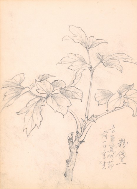 藏品:Flowers, Mandarin Ducks, Tigers, Birds, etc. Life Drawing Collection 008的(5)張圖片