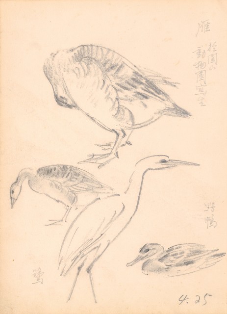 藏品:Flowers, Mandarin Ducks, Tigers, Birds, etc. Life Drawing Collection 008的(7)張圖片