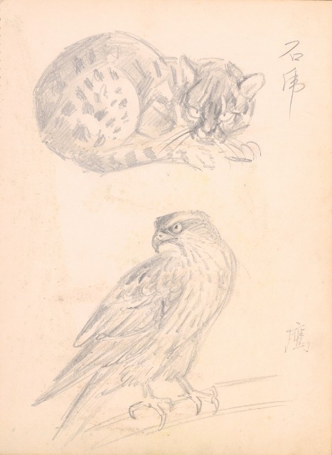 藏品:Flowers, Mandarin Ducks, Tigers, Birds, etc. Life Drawing Collection 008的(12)張圖片