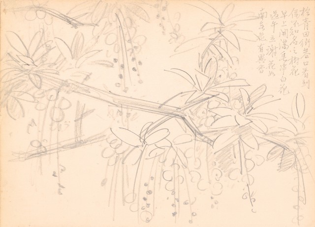 藏品:花、鴛鴦、虎、鳥等寫生集008的(19)張圖片