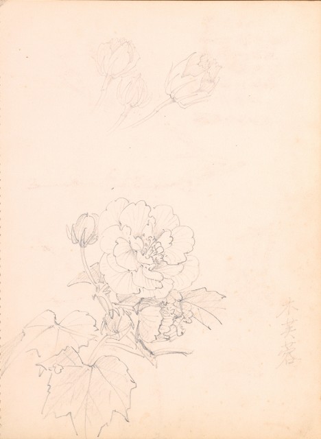 藏品:Flowers, Mandarin Ducks, Tigers, Birds, etc. Life Drawing Collection 008的(20)張圖片