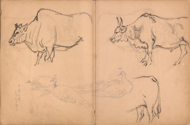 藏品:牛、植物、人物、動物、風景等寫生集009的(6)張圖片