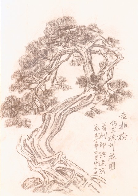 藏品:Mainland China Mountain Landscapes, Pine Trees, etc. Life Drawing Collection 011的(23)張圖片