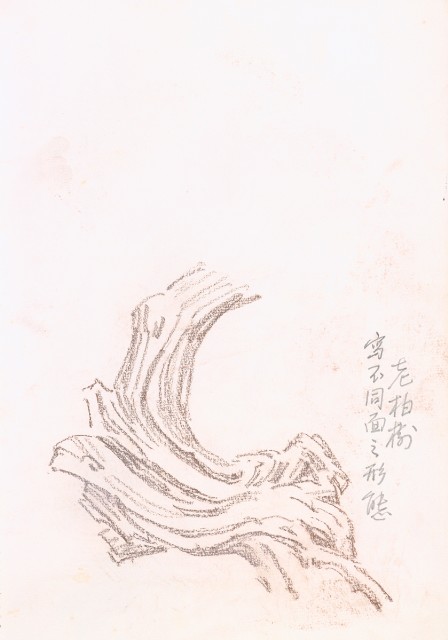 本日特価】 中国美術 台湾美術 林 中国古玩 木製額 扇型 双雀図 肉筆 