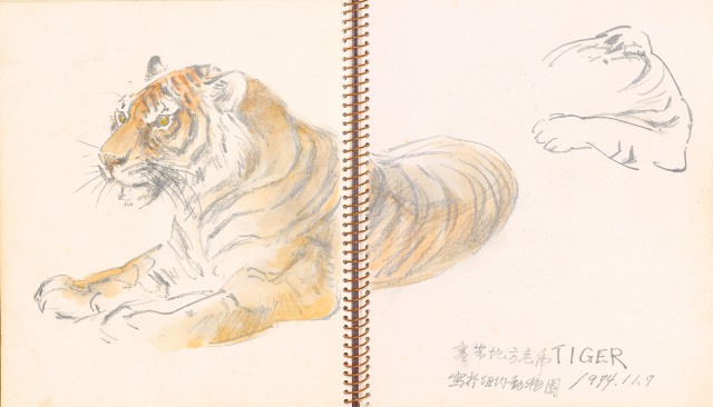 藏品:The United States (Landscapes, Tigers, Birds, Panda, and Museum Object) Life Drawing Collection 012的(14)張圖片