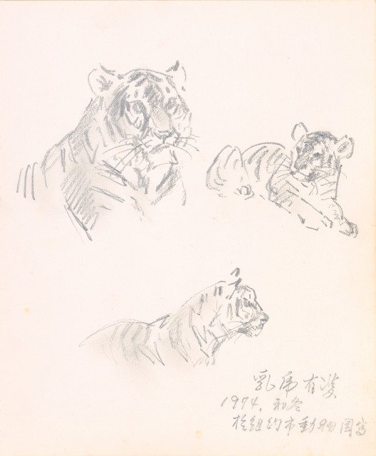 藏品:美國（風景、虎、鳥、熊貓及博物館之物品）寫生集012的(15)張圖片