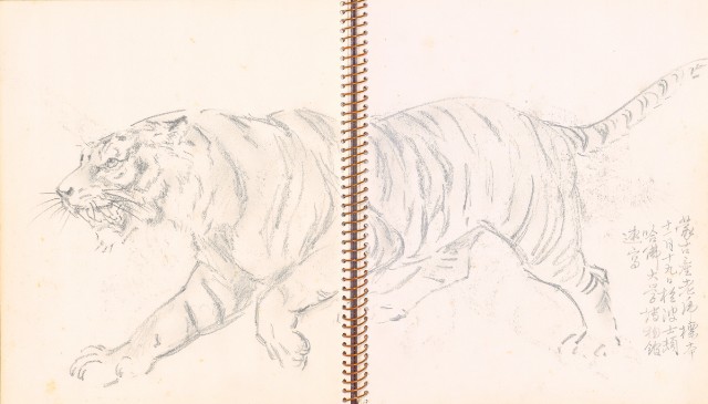 藏品:The United States (Landscapes, Tigers, Birds, Panda, and Museum Object) Life Drawing Collection 012的(12)張圖片