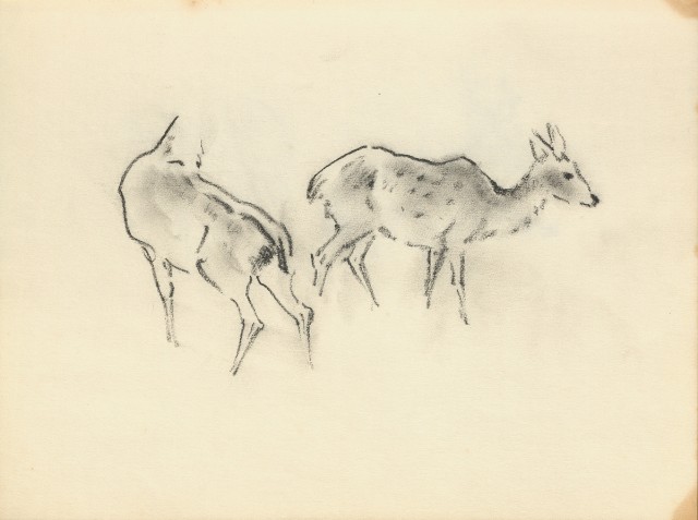 藏品:花、鳥、貓、鹿、牛、鴨、畫像及鼻頭角風景等寫生集013的(6)張圖片