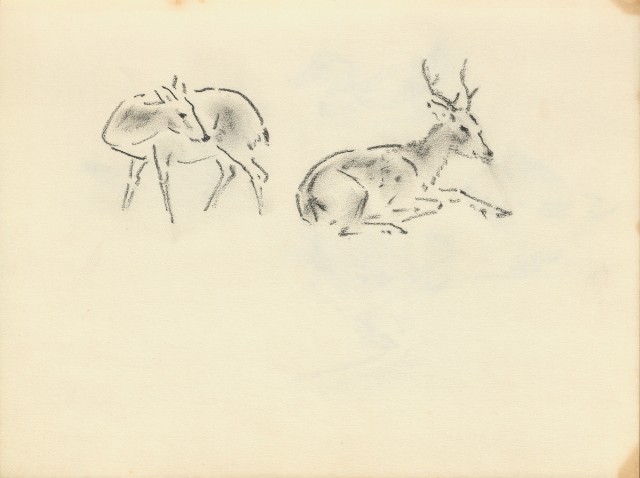 藏品:花、鳥、貓、鹿、牛、鴨、畫像及鼻頭角風景等寫生集013的(7)張圖片