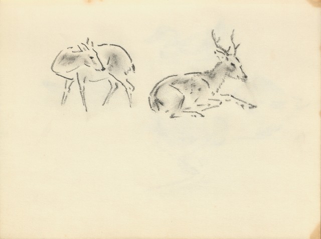 藏品:Flowers, Birds, Cats, Deer, Cattle, Ducks, Paintings, Bitous Cape Landscapes, etc. Life Drawing Collection013的(7)張圖片