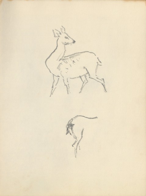 藏品:花、鳥、貓、鹿、牛、鴨、畫像及鼻頭角風景等寫生集013的(21)張圖片