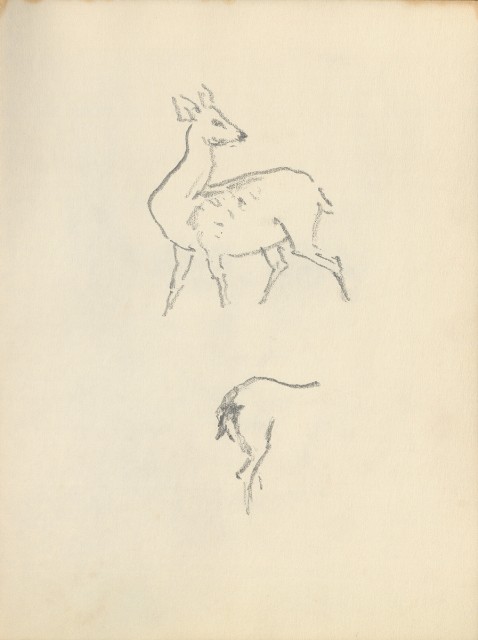 藏品:Flowers, Birds, Cats, Deer, Cattle, Ducks, Paintings, Bitous Cape Landscapes, etc. Life Drawing Collection013的(21)張圖片