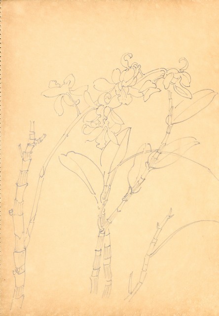 藏品:Flowers and Birds Life Drawing Collection 014的(15)張圖片