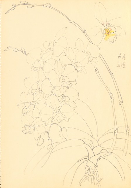 藏品:Flowers and Birds Life Drawing Collection 014的(17)張圖片