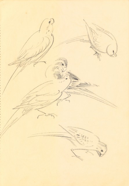 藏品:Flowers and Birds Life Drawing Collection 014的(3)張圖片