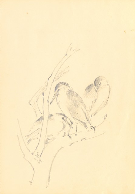 藏品:Flowers and Birds Life Drawing Collection 014的(4)張圖片