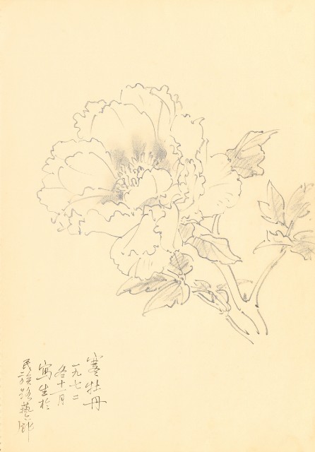 藏品:Flowers and Birds Life Drawing Collection 014的(5)張圖片