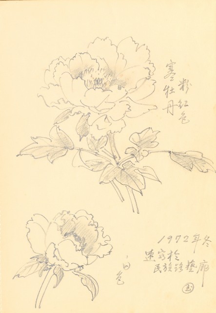 藏品:花鳥寫生冊014的(11)張圖片