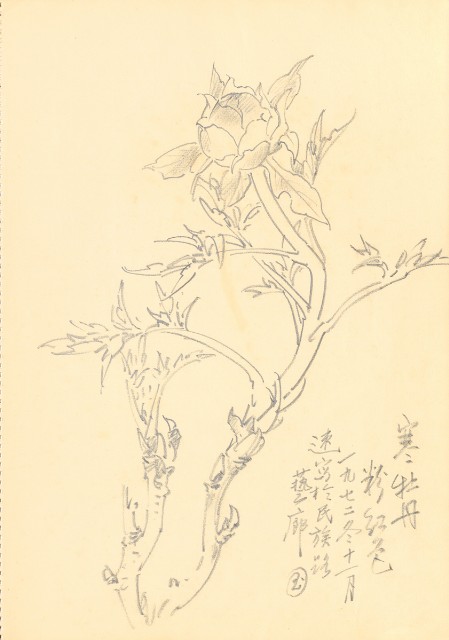 藏品:Flowers and Birds Life Drawing Collection 014的(33)張圖片