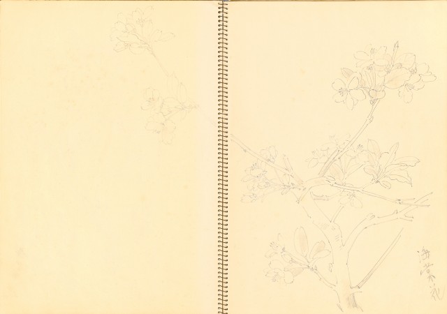 藏品:Flowers and Birds Life Drawing Collection 014的(20)張圖片