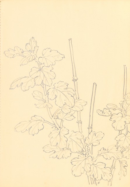 藏品:Flowers and Birds Life Drawing Collection 014的(1)張圖片