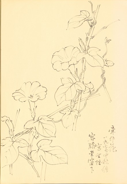 藏品:Flowers and Birds Life Drawing Collection 014的(25)張圖片